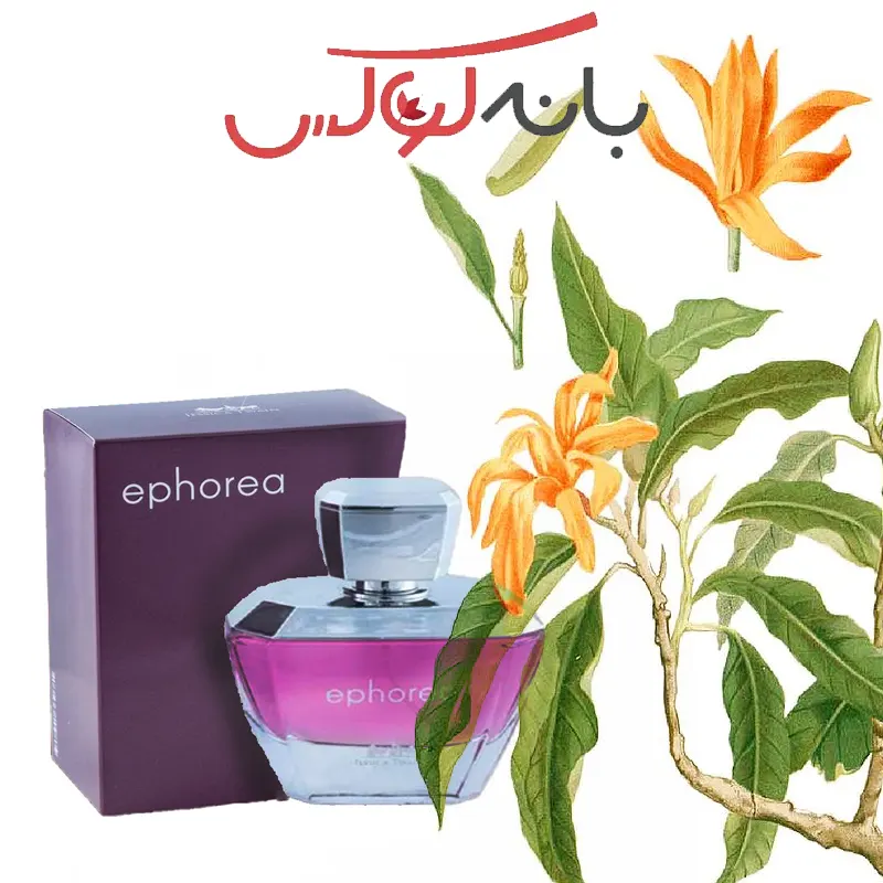 خرید ادکلن فرانسوی ایفوریا مدل زنانه