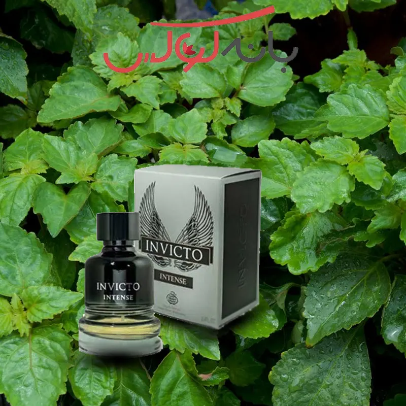 خرید ادکلن مردانه INVECTO INTENSE