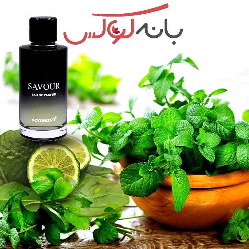 نتهای ادکلن دیور ساواج اماراتی